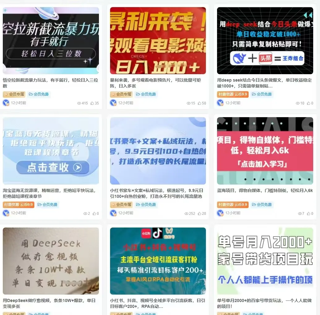 图片[5]-你还在到处找项目？还在当韭菜？我靠卖项目一个月收入5万+，曾经我也是个失败者。-自由云网创